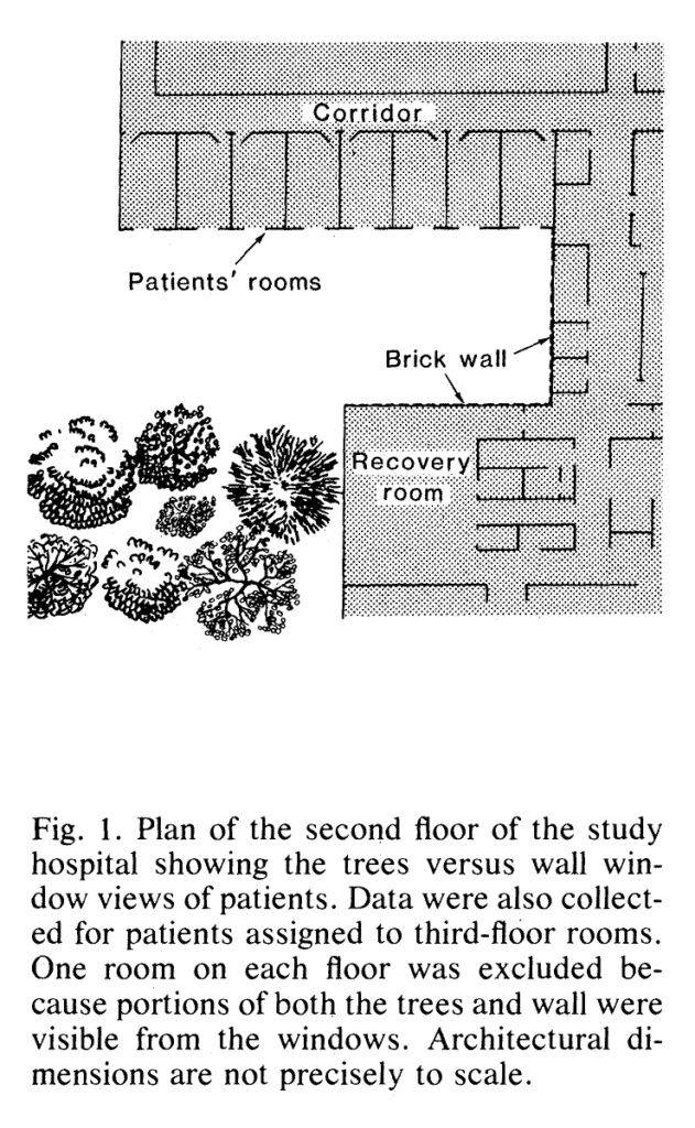 architettura benessere